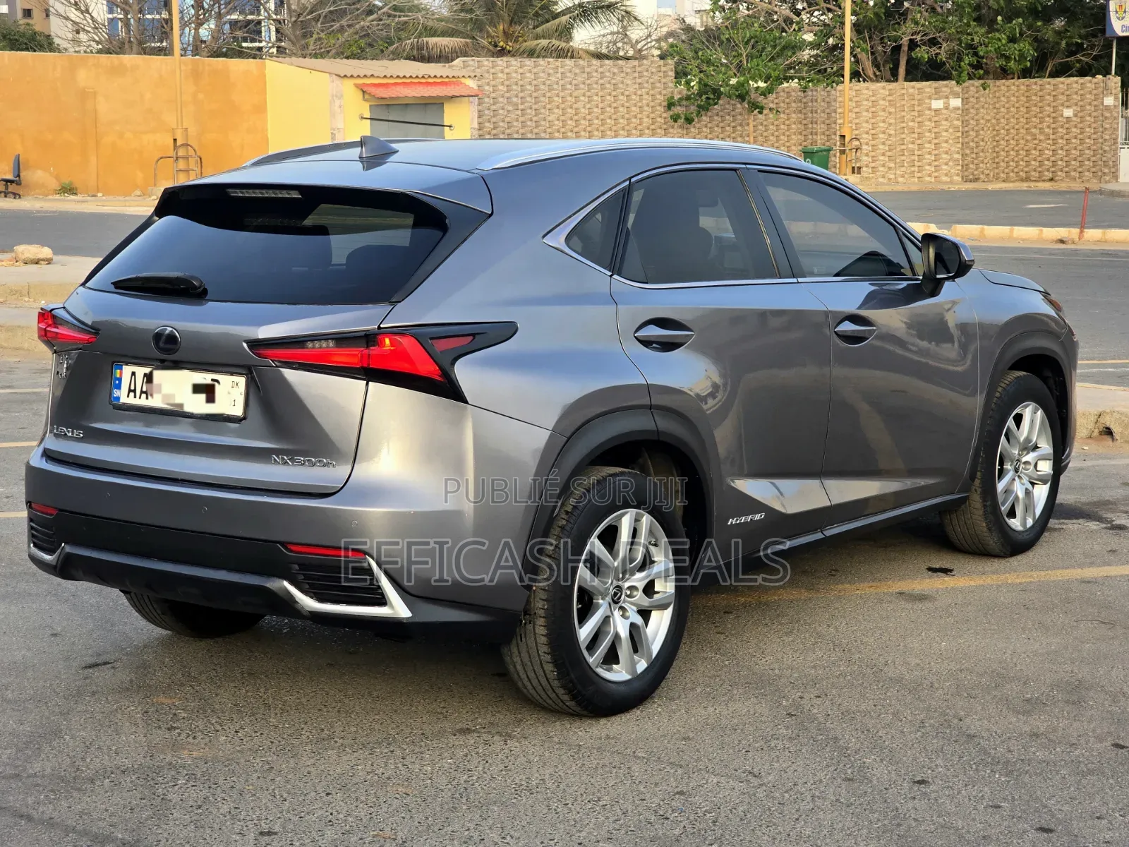 Lexus NX 300h AWD 2020 Gris