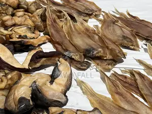 Fadhiout_seafood