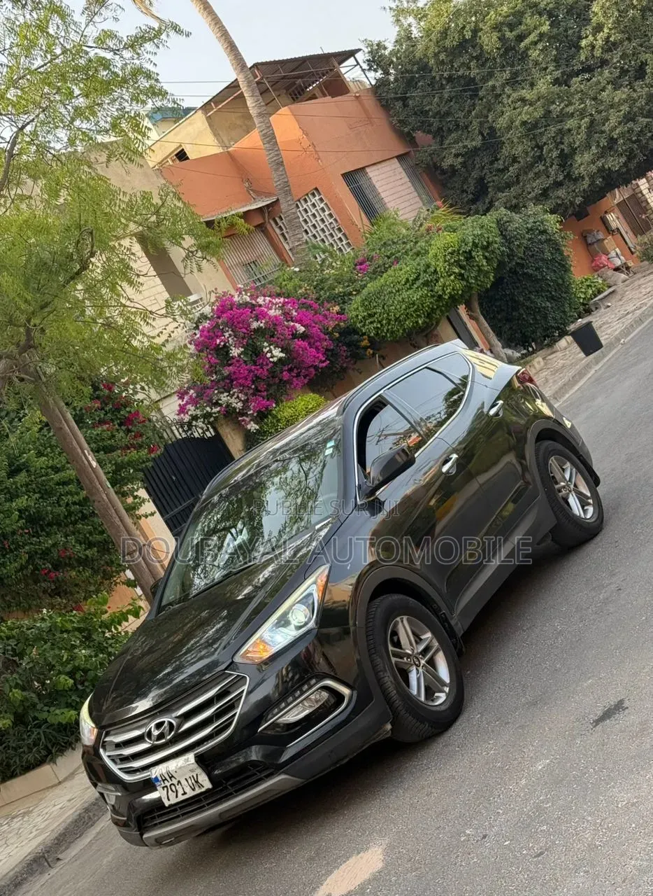 Hyundai Santa Fe 2018 Autre