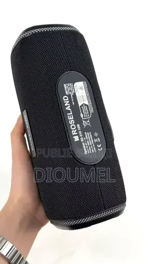 Haut Parleur Bluetooth Rose