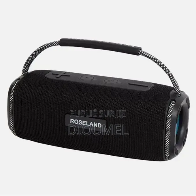 Haut Parleur Bluetooth Rose