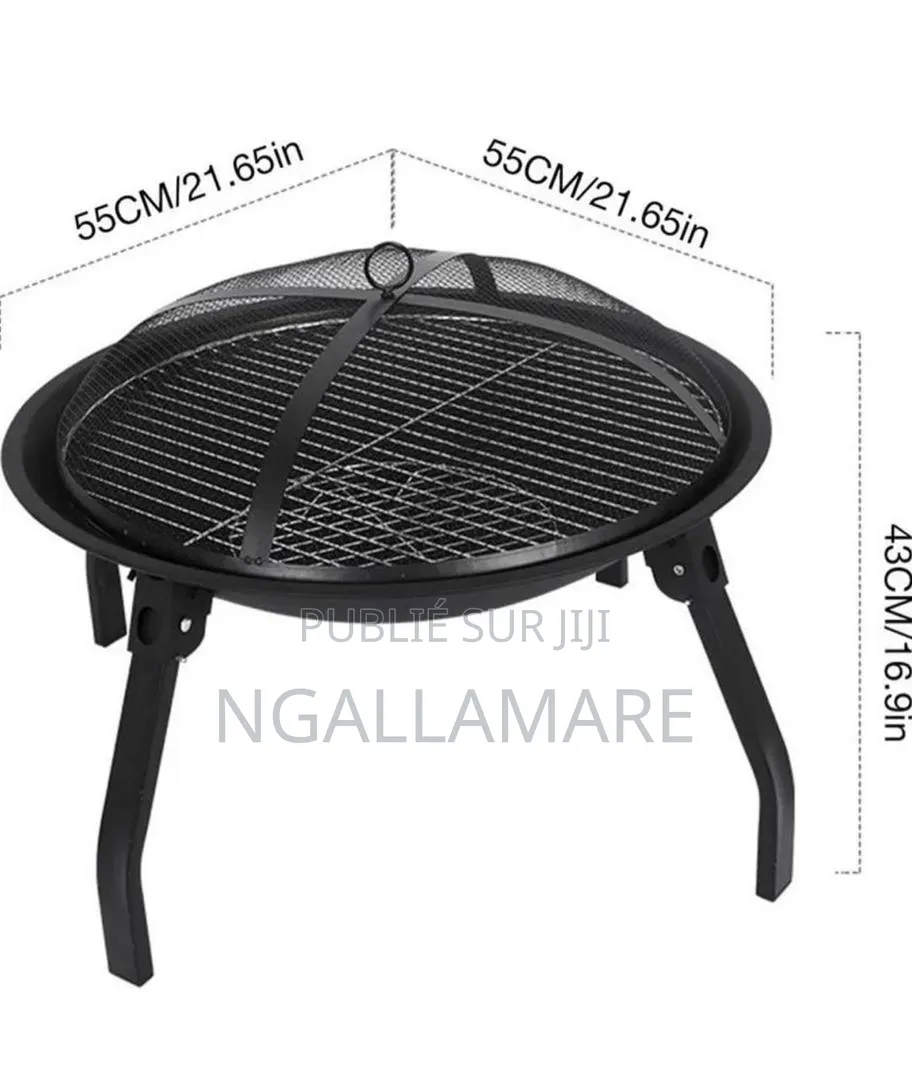 Grillade Et Barbecue