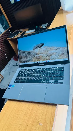 Nouveau Asus Chromebook C223 8GB Intel Core i5 SSD 128GB