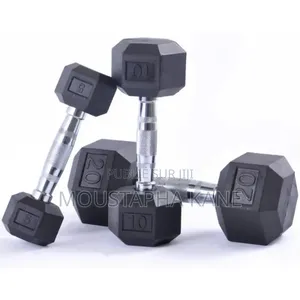 Biceps Musculation