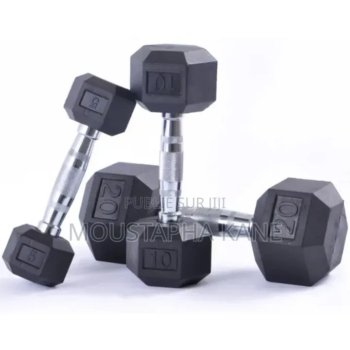 Biceps Musculation
