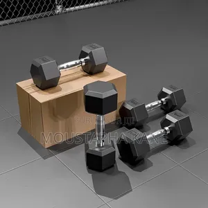 Biceps Musculation
