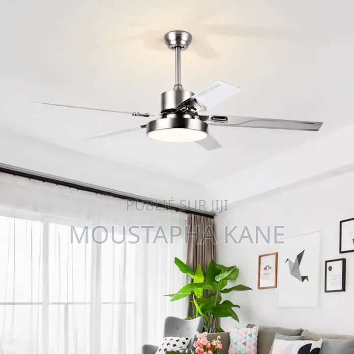 Ventilateur Salon