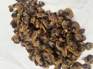 Fadhiout Seafood