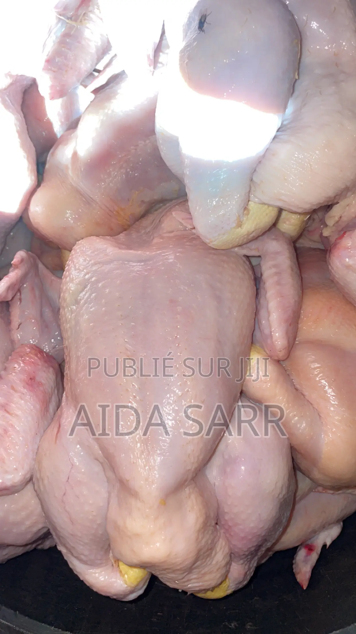 Vendeur De Poulet