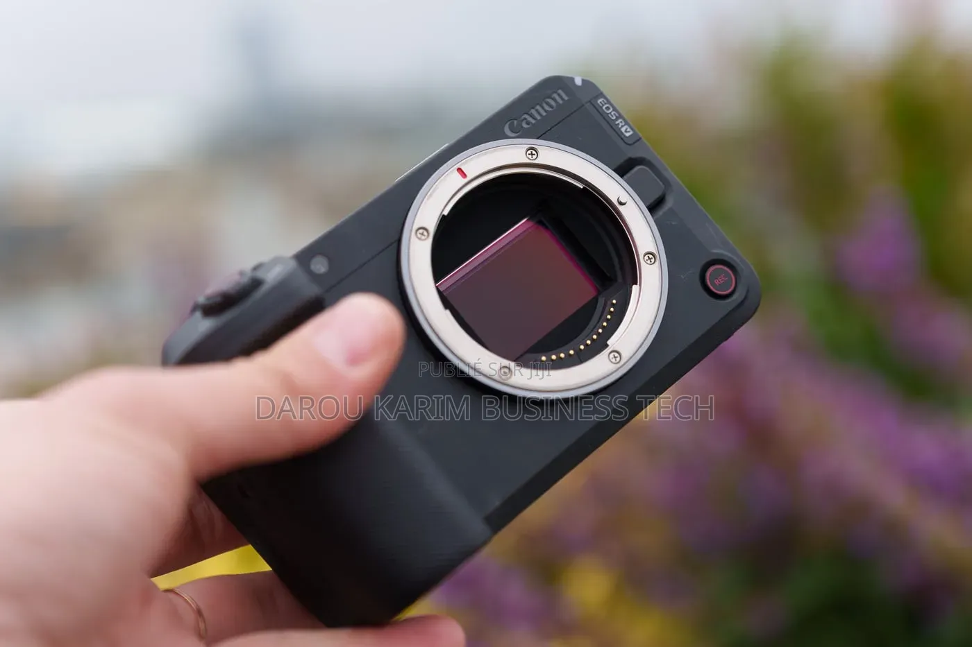 Canon Eos R6 V