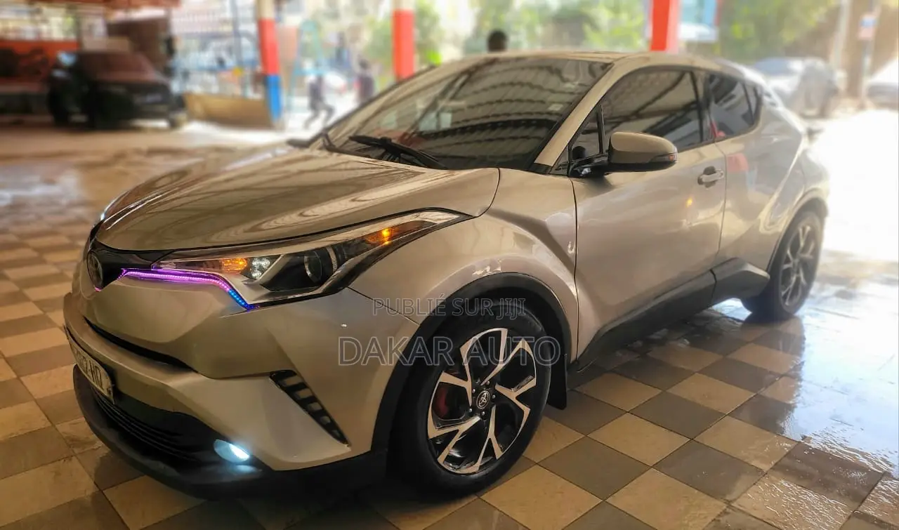Toyota C-HR 2019 Gris