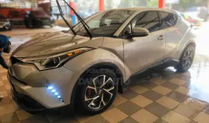 Toyota C-HR 2019 Gris