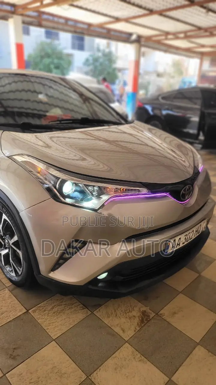 Toyota C-HR 2019 Gris