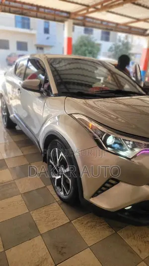 Toyota C-HR 2019 Gris