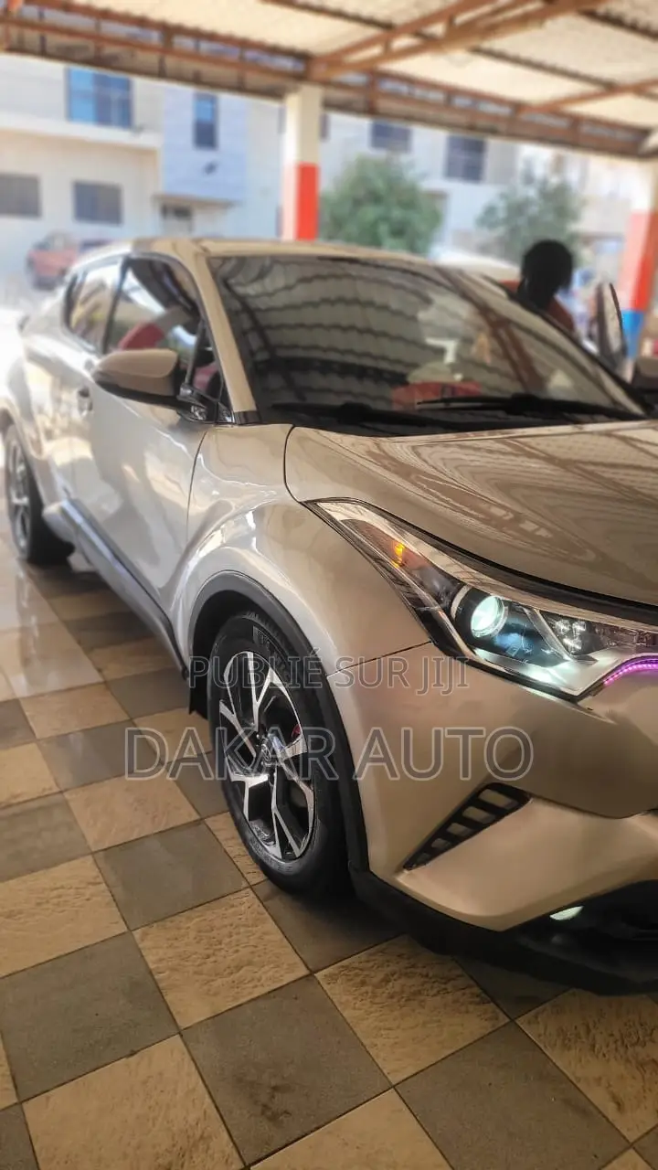 Toyota C-HR 2019 Gris