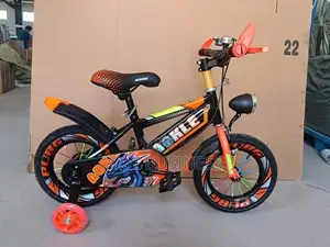 Vélo Pour Enfants 12 14 16 18 20 Et 24 Pouces Avec Roues
