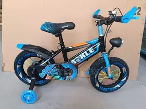 Vélo Pour Enfants 12 14 16 18 20 Et 24 Pouces Avec Roues