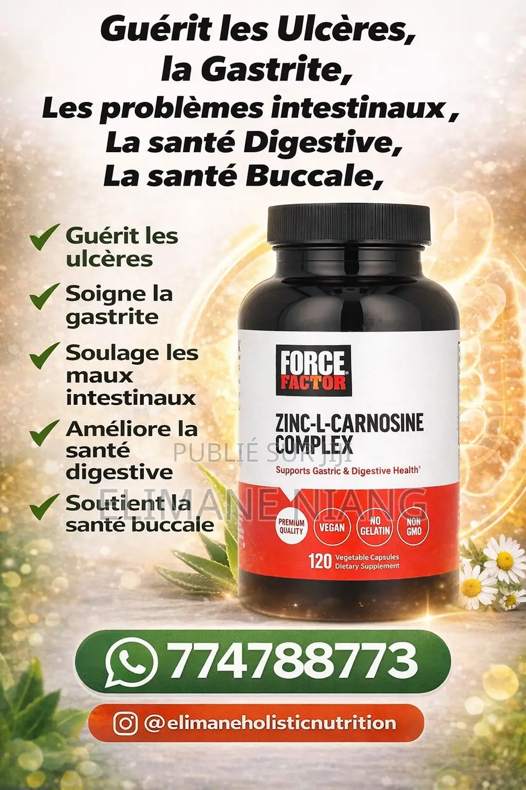 Zinc L-Carnosine Guérit L’Ulcère
