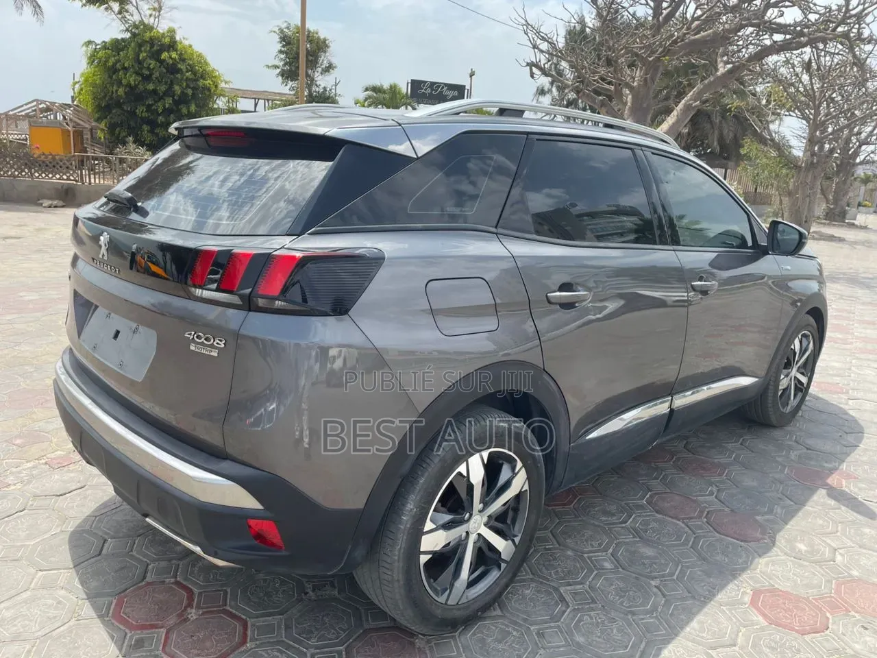Peugeot 3008 2020 Gris