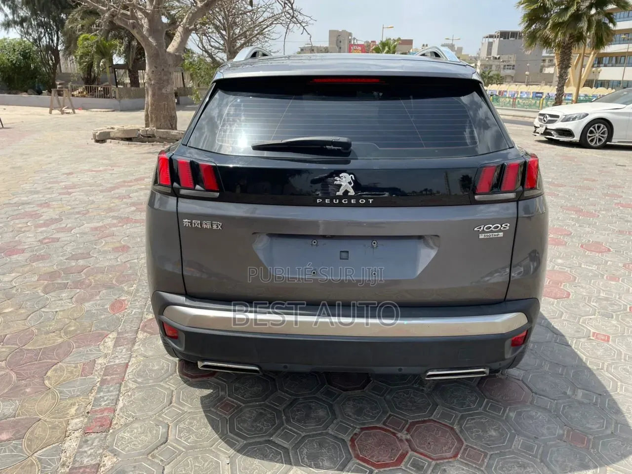 Peugeot 3008 2020 Gris