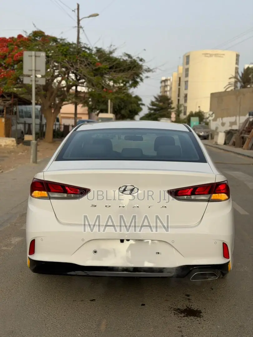 Hyundai Sonata Limited 2019 Blanc