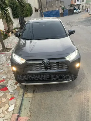 Toyota RAV4 Hybrid 2020 Gris