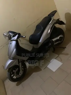 Piaggio Trotinette 2013 Gris