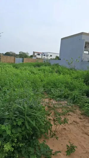 Terrain À Saly
