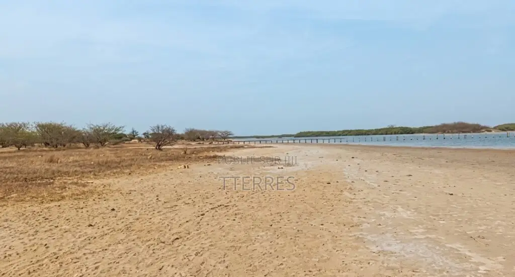 Terrain Agricole De 1,19 Hectare À Fimela
