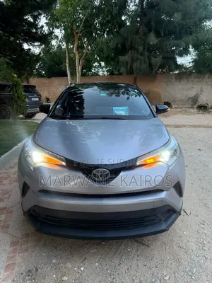 Toyota C-HR 2019 Gris