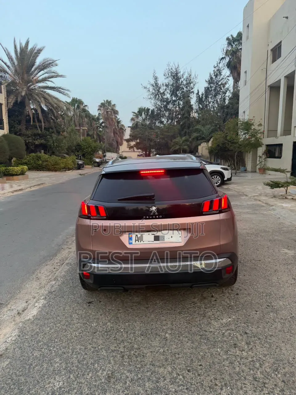 Peugeot 3008 2017 Marron