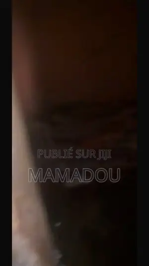 Maison À Démolir a Vendre Guediawaye