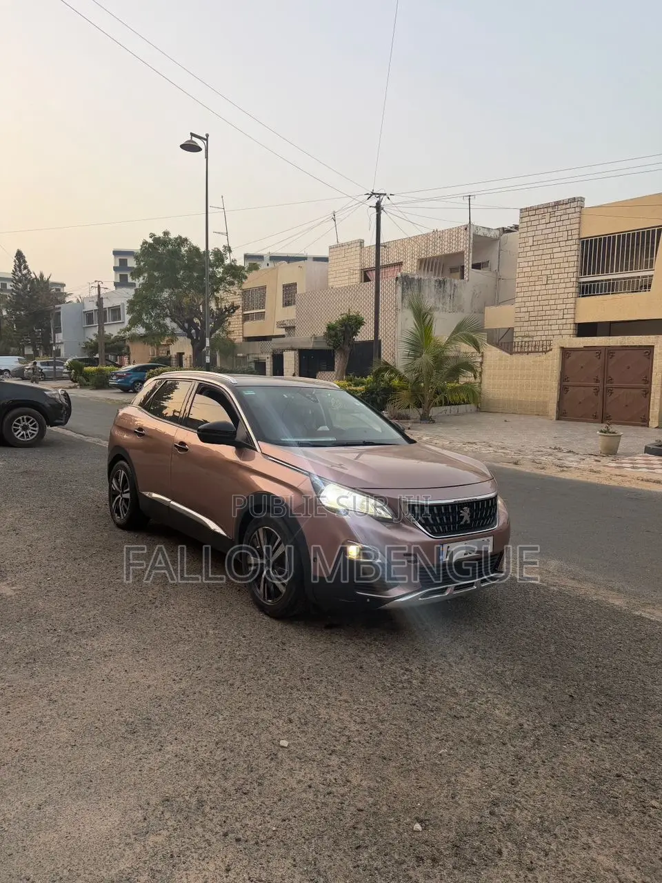 Peugeot 3008 2018 Marron