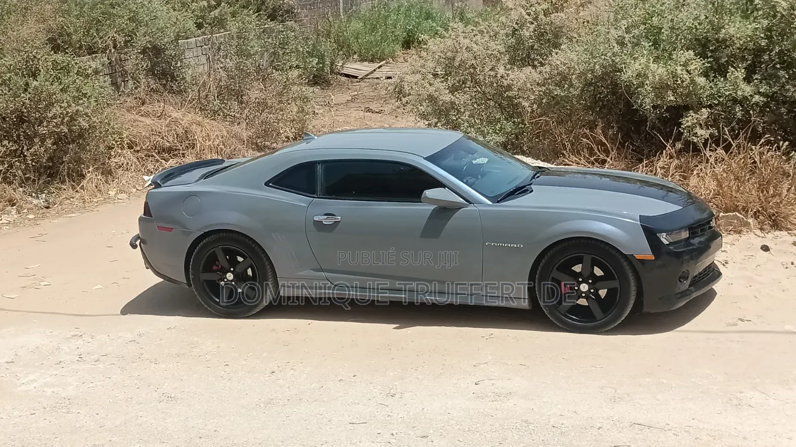 Chevrolet Camaro LT 2dr Coupe w/2LT (3.6L 6cyl 6M) 2015 Gris