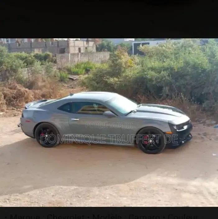 Chevrolet Camaro LT 2dr Coupe w/2LT (3.6L 6cyl 6M) 2015 Gris