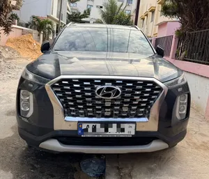 Hyundai Palissade 2020 Autre