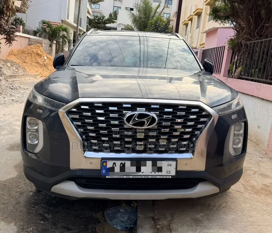 Hyundai Palissade 2020 Autre