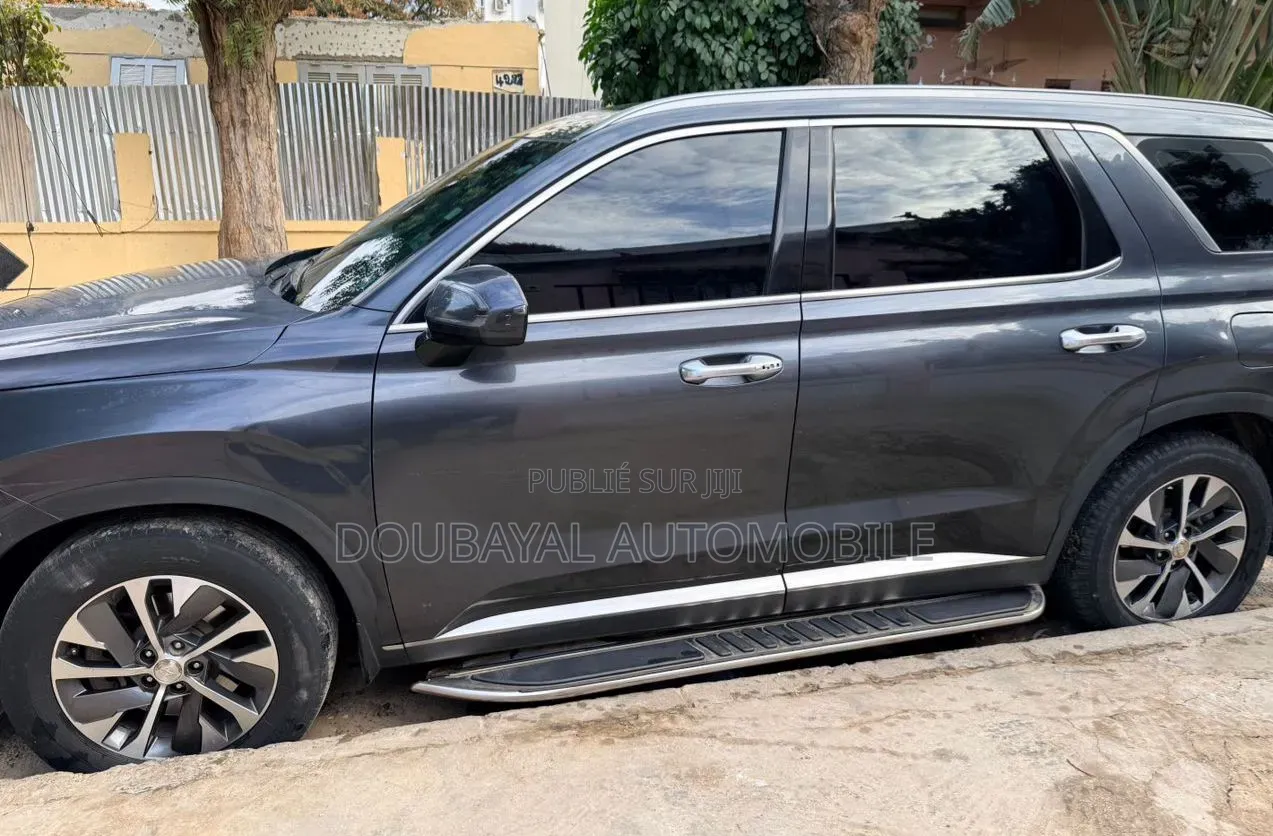 Hyundai Palissade 2020 Autre