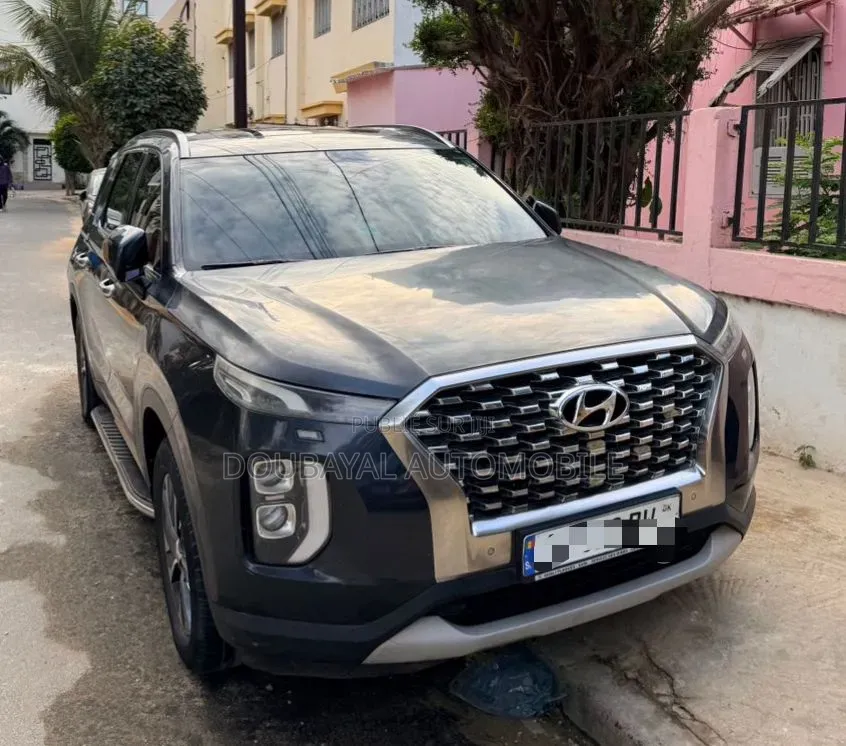 Hyundai Palissade 2020 Autre
