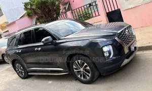 Hyundai Palissade 2020 Autre