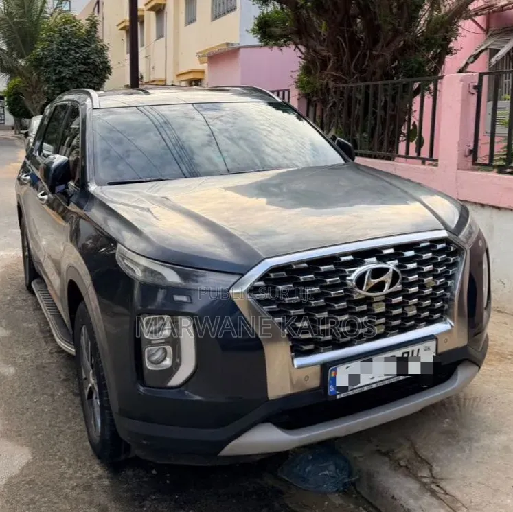 Hyundai Palissade 2020 Gris