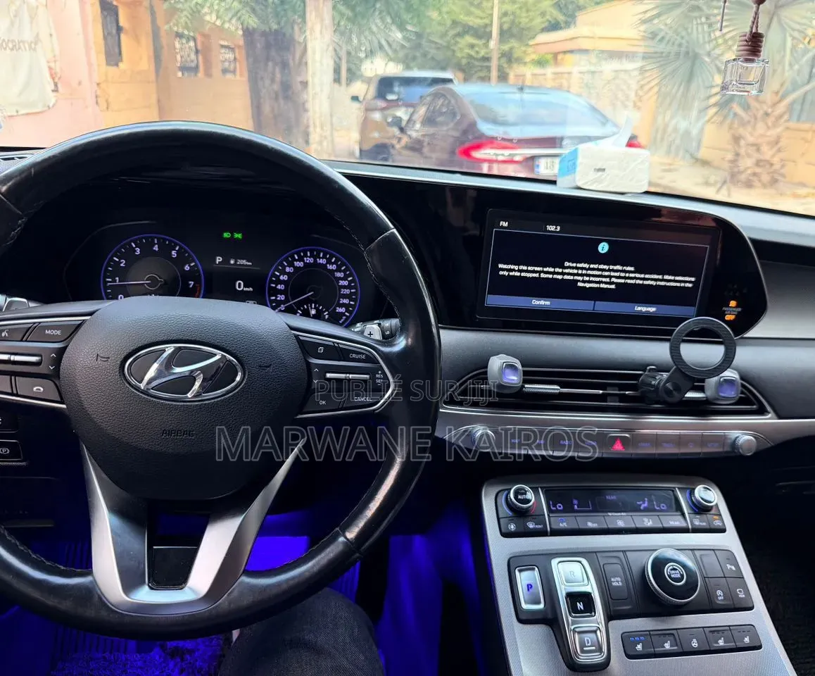 Hyundai Palissade 2020 Gris