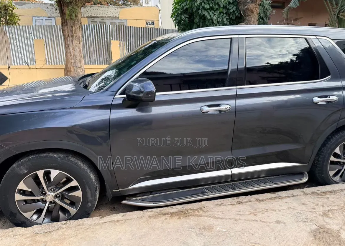 Hyundai Palissade 2020 Gris