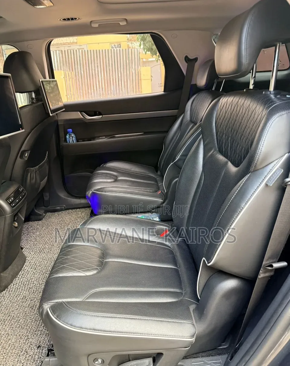 Hyundai Palissade 2020 Gris