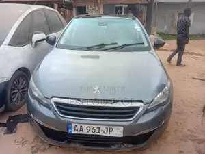 Peugeot 308 2014 Gris