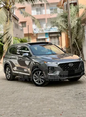 Hyundai Santa Fe 2019 Gris