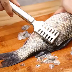 Ecailleur Poisson