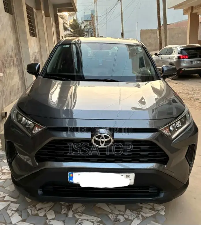 Toyota RAV4 2021 Gris