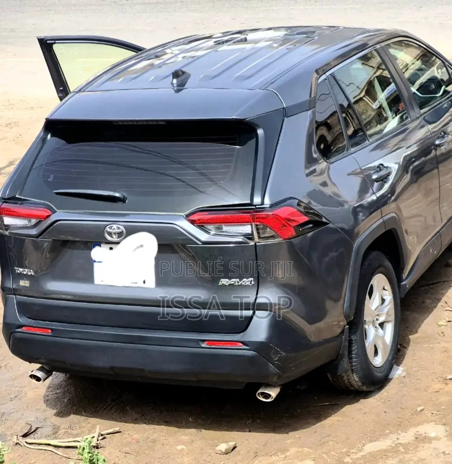 Toyota RAV4 2021 Gris