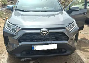 Toyota RAV4 2021 Gris